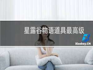星露谷物语道具最高级