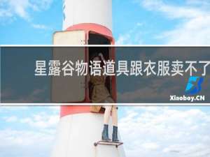 星露谷物语道具跟衣服卖不了
