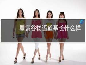 星露谷物语道基长什么样