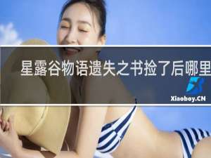 星露谷物语遗失之书捡了后哪里看