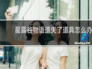 星露谷物语遗失了道具怎么办