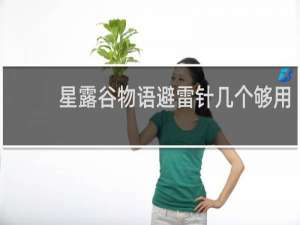 星露谷物语避雷针几个够用