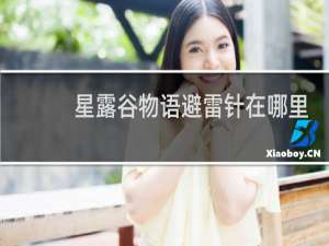 星露谷物语避雷针在哪里