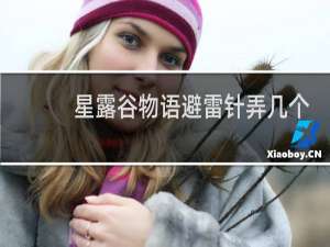 星露谷物语避雷针弄几个