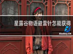 星露谷物语避雷针怎能获得