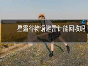 星露谷物语避雷针能回收吗