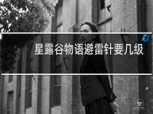 星露谷物语避雷针要几级