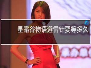星露谷物语避雷针要等多久