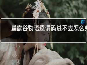 星露谷物语邀请码进不去怎么办