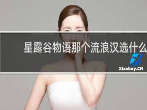 星露谷物语那个流浪汉选什么