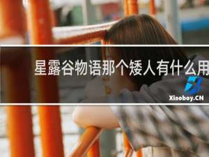 星露谷物语那个矮人有什么用