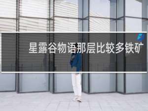 星露谷物语那层比较多铁矿