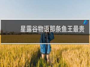 星露谷物语那条鱼王最贵