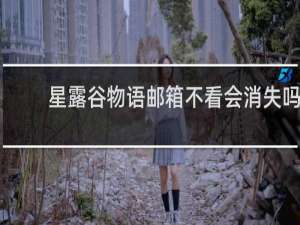 星露谷物语邮箱不看会消失吗