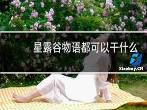 星露谷物语都可以干什么