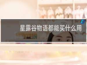 星露谷物语都能买什么用