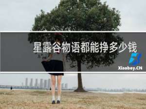 星露谷物语都能挣多少钱