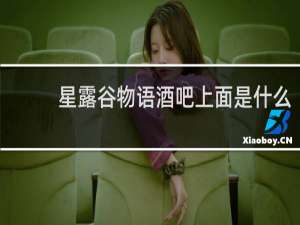 星露谷物语酒吧上面是什么