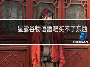 星露谷物语酒吧买不了东西