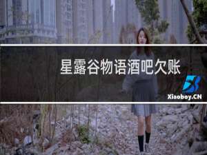 星露谷物语酒吧欠账