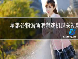 星露谷物语酒吧游戏机过关视频