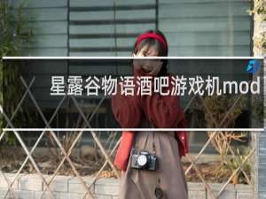 星露谷物语酒吧游戏机mod