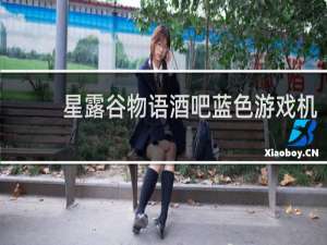 星露谷物语酒吧蓝色游戏机