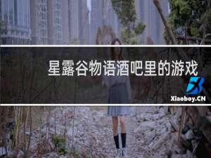 星露谷物语酒吧里的游戏