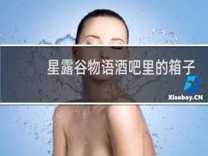 星露谷物语酒吧里的箱子