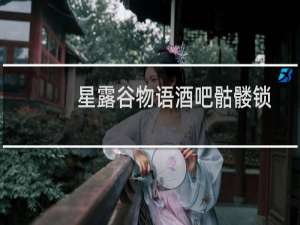 星露谷物语酒吧骷髅锁