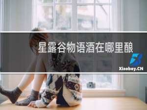 星露谷物语酒在哪里酿