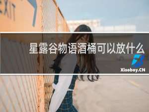 星露谷物语酒桶可以放什么