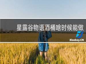 星露谷物语酒桶啥时候能做