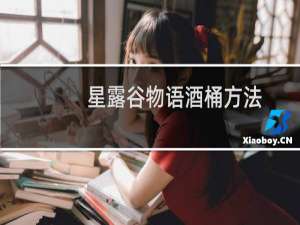 星露谷物语酒桶方法