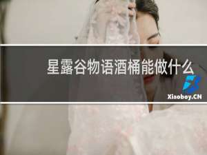 星露谷物语酒桶能做什么