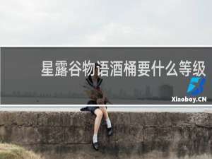 星露谷物语酒桶要什么等级