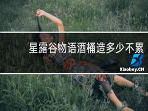 星露谷物语酒桶造多少不累