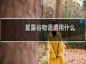 星露谷物语酒用什么
