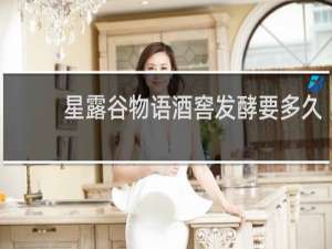 星露谷物语酒窖发酵要多久