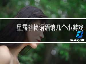 星露谷物语酒馆几个小游戏