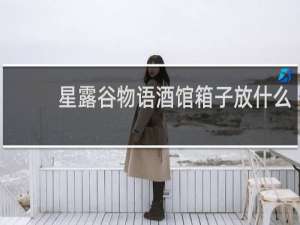 星露谷物语酒馆箱子放什么