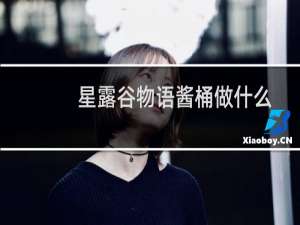 星露谷物语酱桶做什么