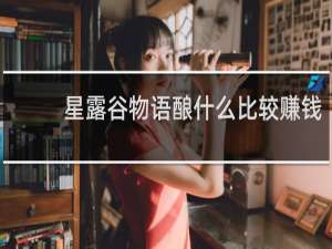 星露谷物语酿什么比较赚钱