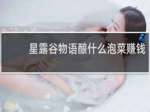 星露谷物语酿什么泡菜赚钱