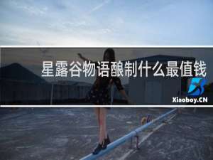 星露谷物语酿制什么最值钱