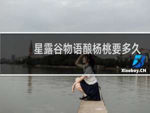 星露谷物语酿杨桃要多久