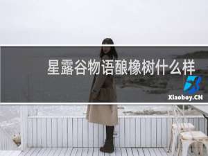 星露谷物语酿橡树什么样