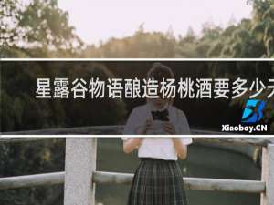 星露谷物语酿造杨桃酒要多少天