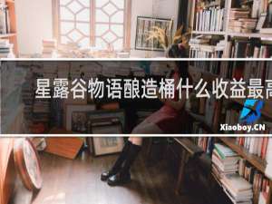 星露谷物语酿造桶什么收益最高