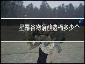 星露谷物语酿造桶多少个